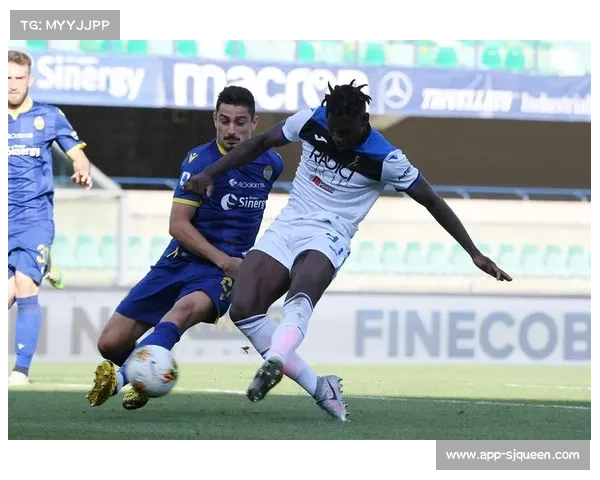 维罗纳主场草坪荣获意甲最佳养护团队殊荣