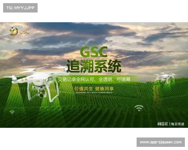 体育服务订阅模式接受度提高 稳定现金流支撑发展